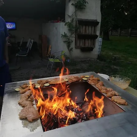 Guest house Queen Novaky