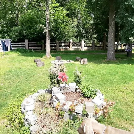 Queen בית הארחה *